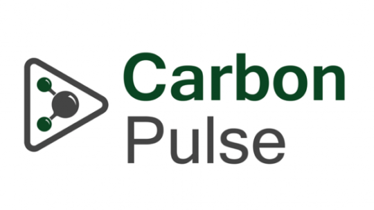 Carbon Pulse Logo