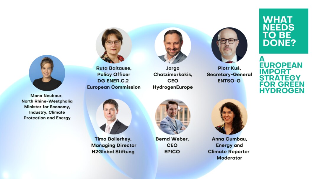 Panellists A European Import Strategy for Green Hydrogen