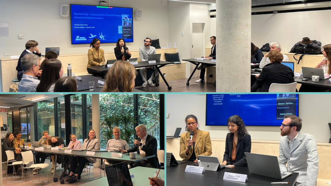 EIIs workshop participants