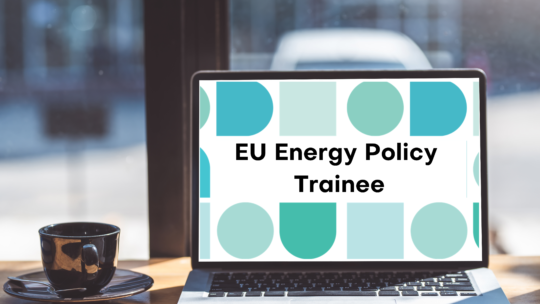 EU Energy Policy Trainee