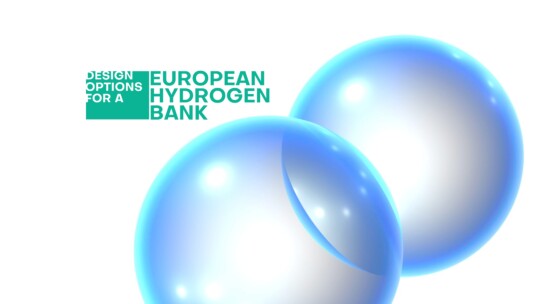 Deckblatt European Hydrogen Bank